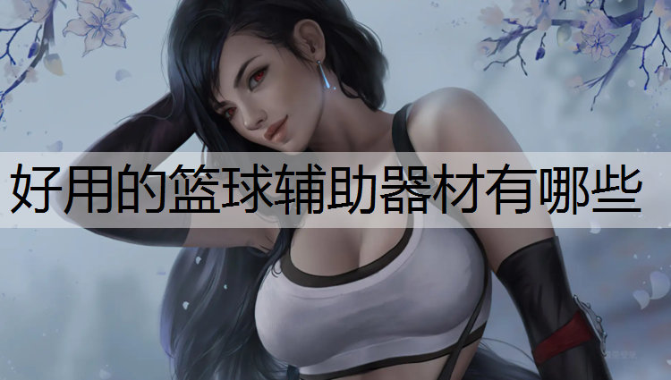 好用的篮球辅助器材有哪些