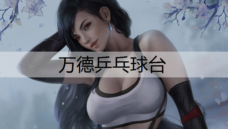 万德乒乓球台