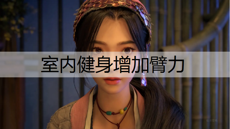 室内健身增加臂力