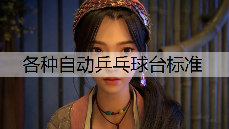 各种自动乒乓球台标准