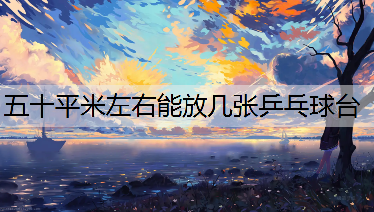 五十平米左右能放几张乒乓球台