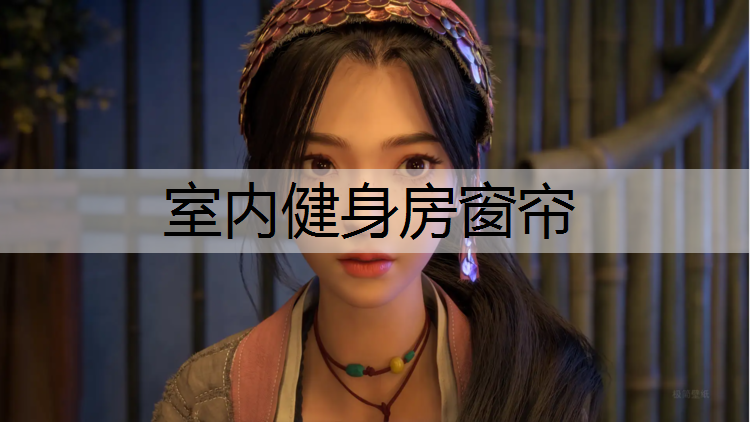 室内健身房窗帘