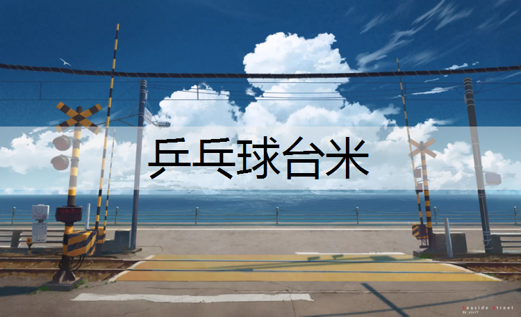 乒乓球台米