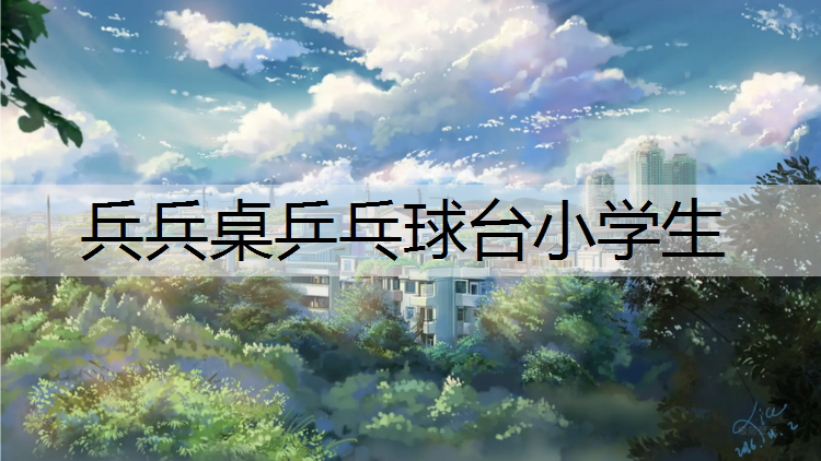 <strong>兵兵桌乒乓球台小学生</strong>