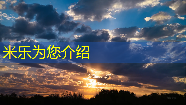 米乐为您介绍：临沧全塑型塑胶跑道