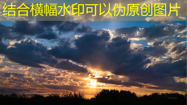 米乐m6官网登录入口：塑胶跑道短跑穿什么裤子