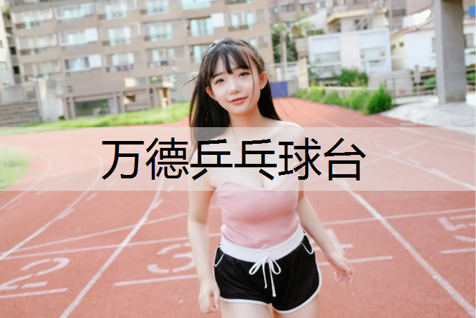 万德乒乓球台