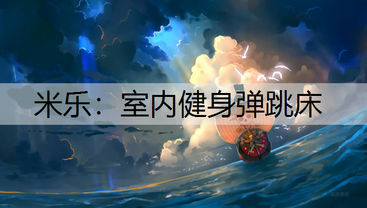 室内健身弹跳床