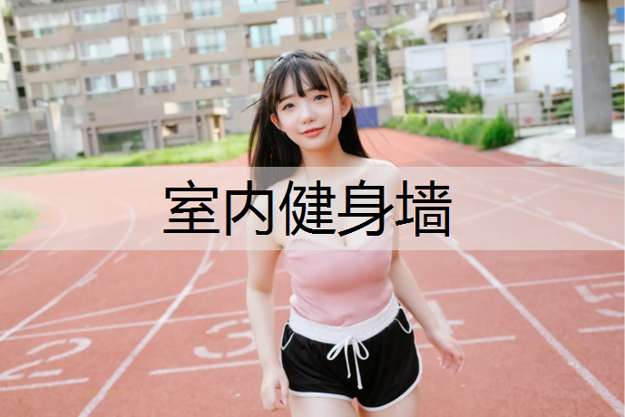 室内健身墙