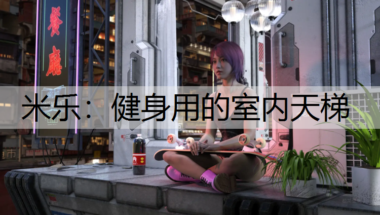 健身用的室内天梯