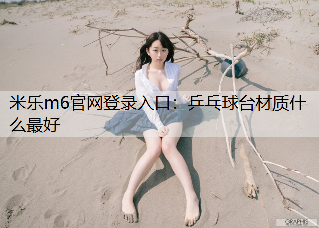乒乓球台材质什么最好