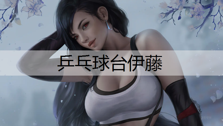 乒乓球台伊藤