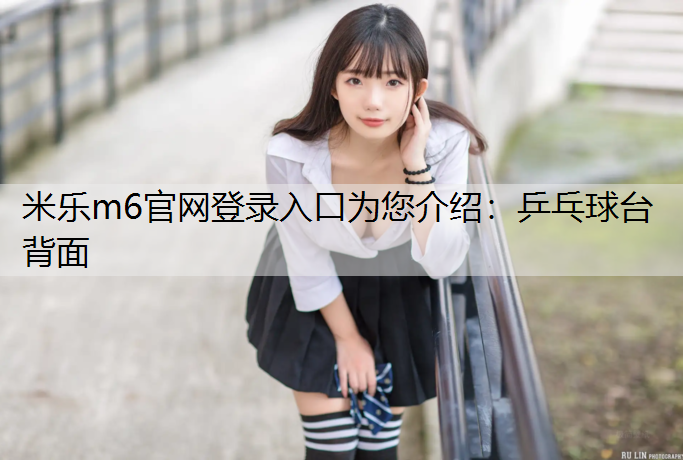 乒乓球台背面