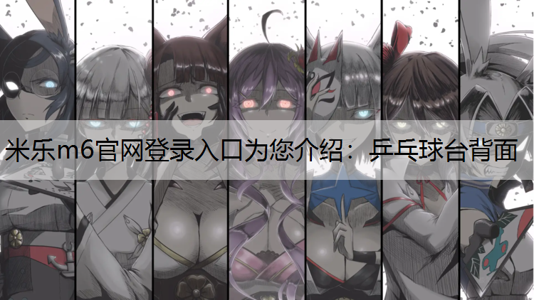 乒乓球台背面